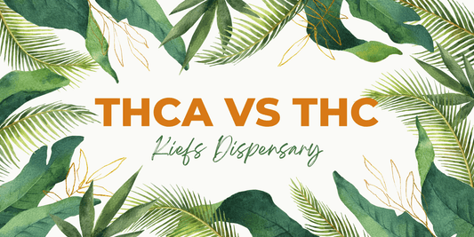 THCA vs THC: What You Need to Know About This Legal Cannabinoid and Its Benefits - Kiefs Dispensary