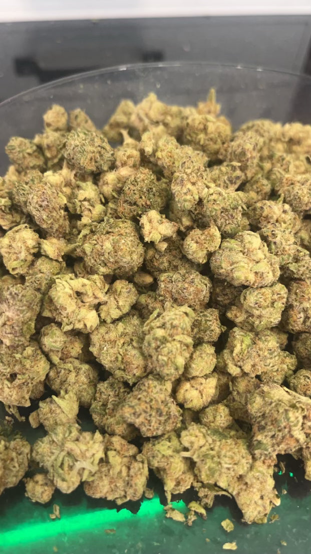 Carribean breeze