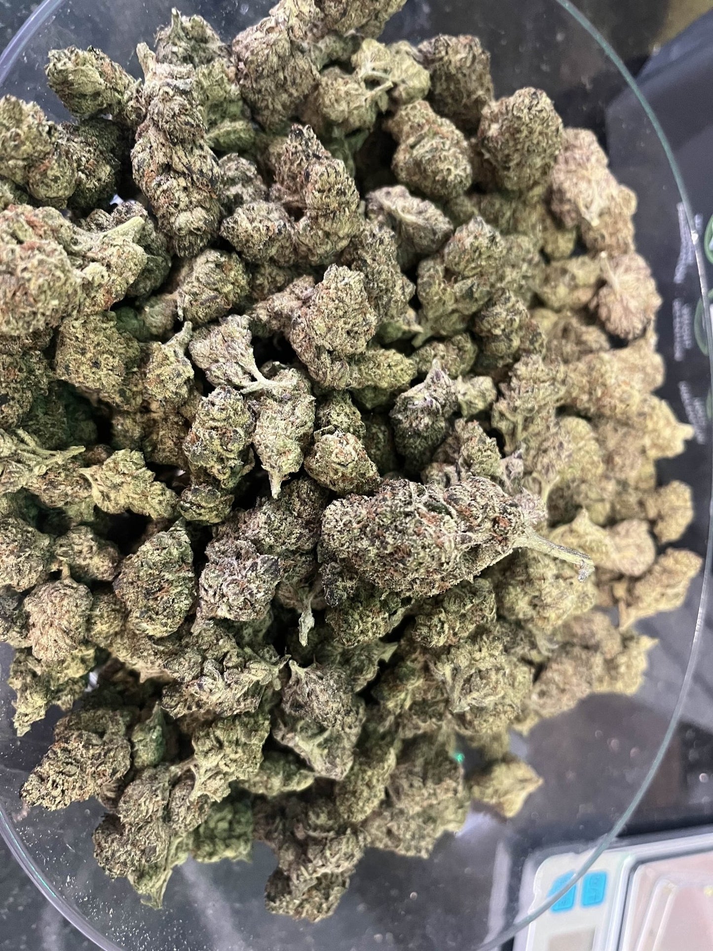 Apple Fritter - Kiefs Dispensary