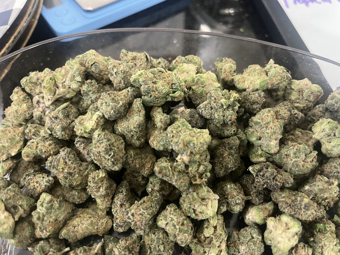 Candy Bezel - Kiefs Dispensary