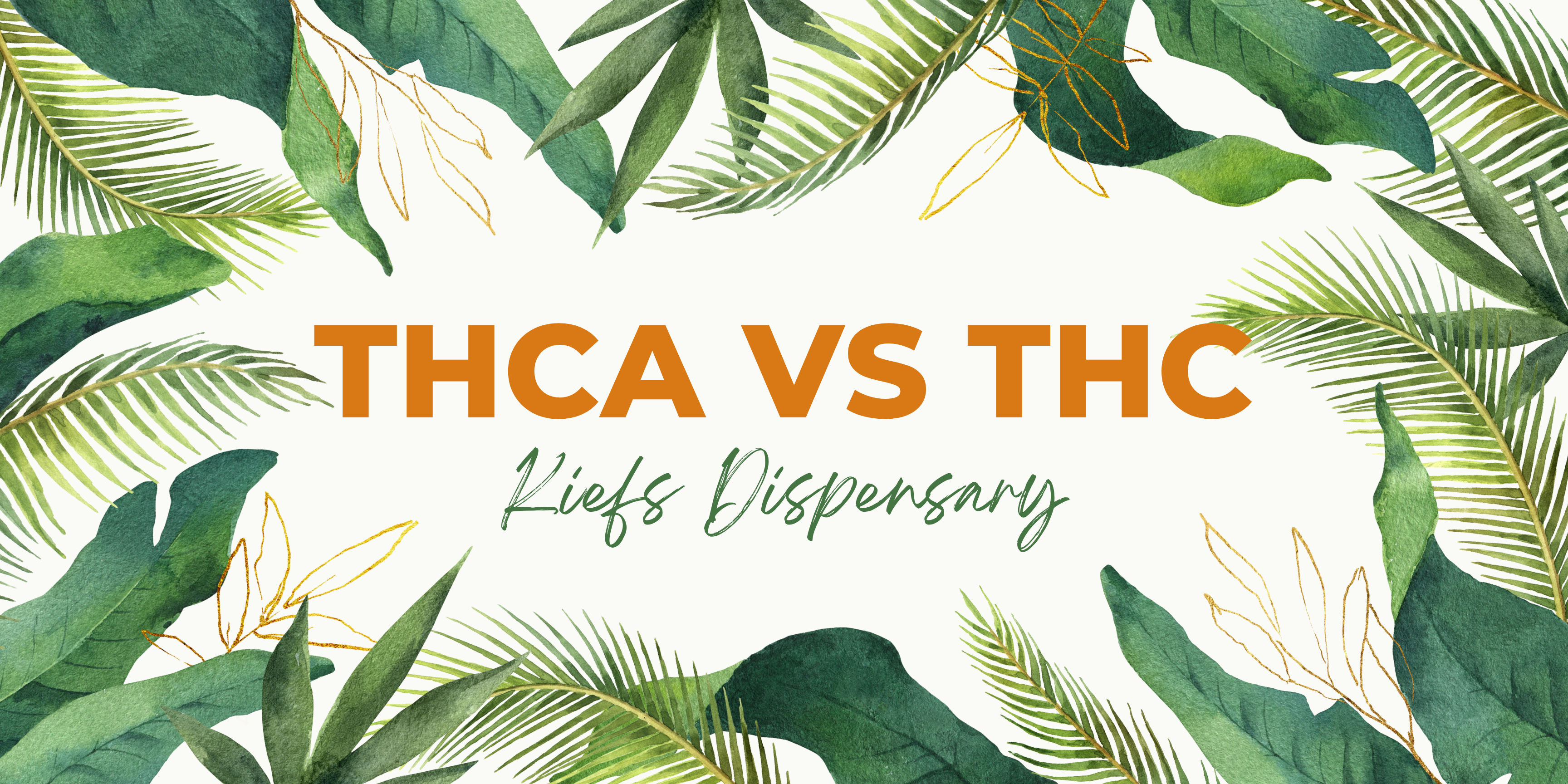 THCA vs THC: What You Need to Know About This Legal Cannabinoid and Its Benefits