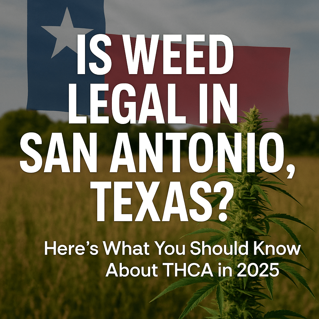 Is Weed Legal in San Antonio, Texas? Here’s What You Should Know About THCA in 2025 - Kiefs Dispensary 