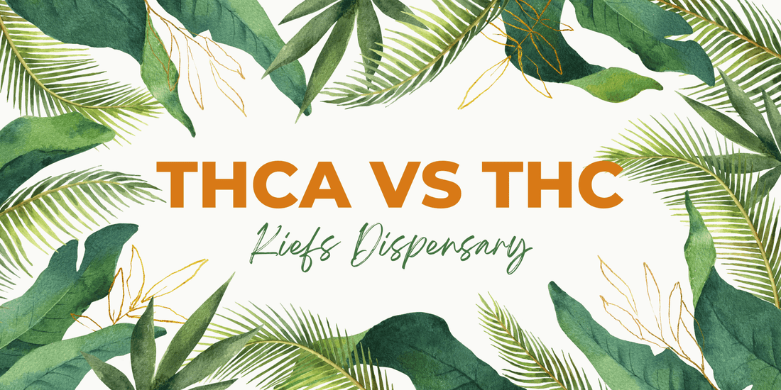 THCA vs THC: What You Need to Know About This Legal Cannabinoid and Its Benefits - Kiefs Dispensary 