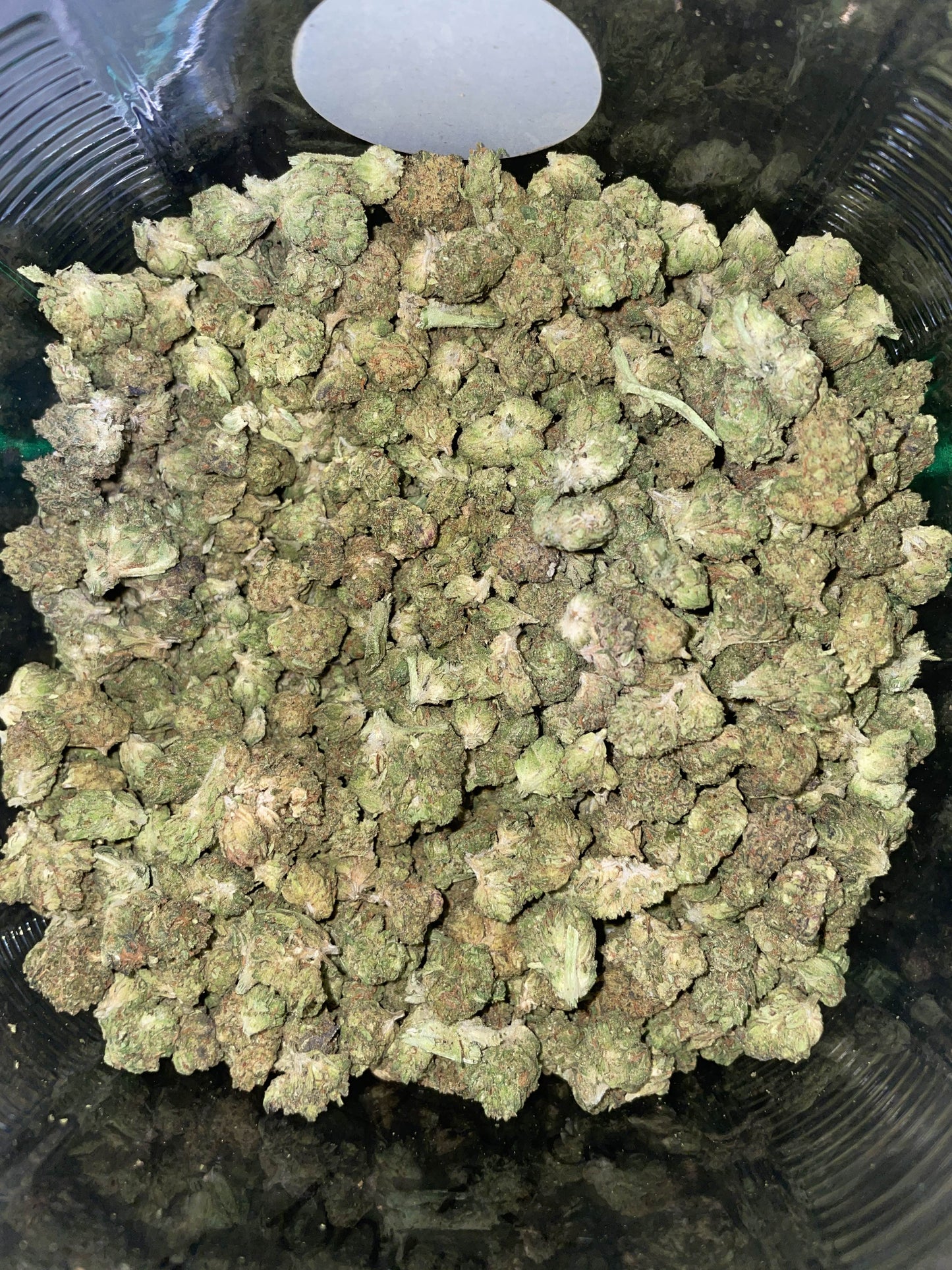 Purple Punch Indica THCA Flower CBD  located in San Antonio Texas Weed