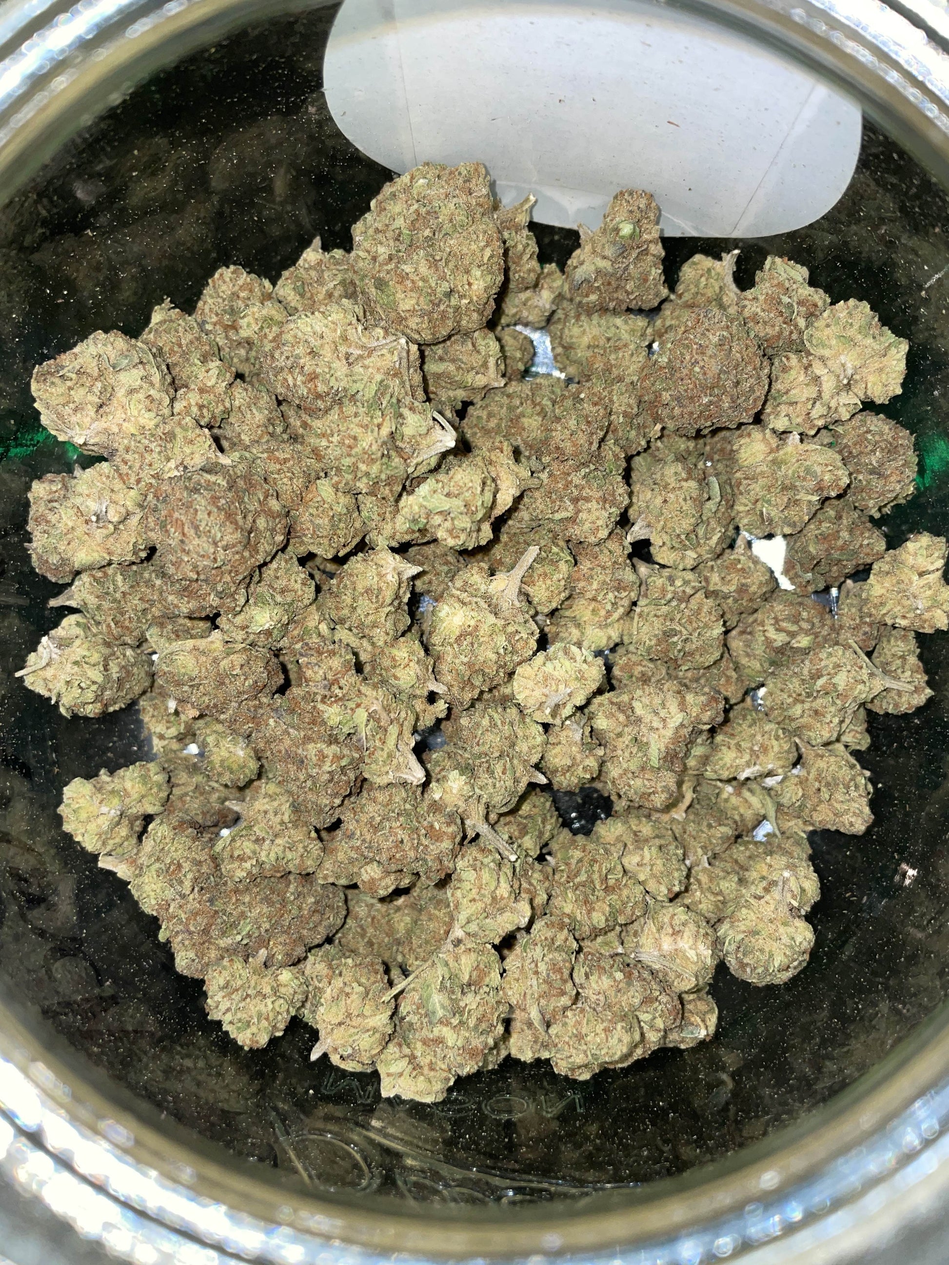 Platinum Punch Hybrid THCA CBD Flower located in San Antonio Texas Weed