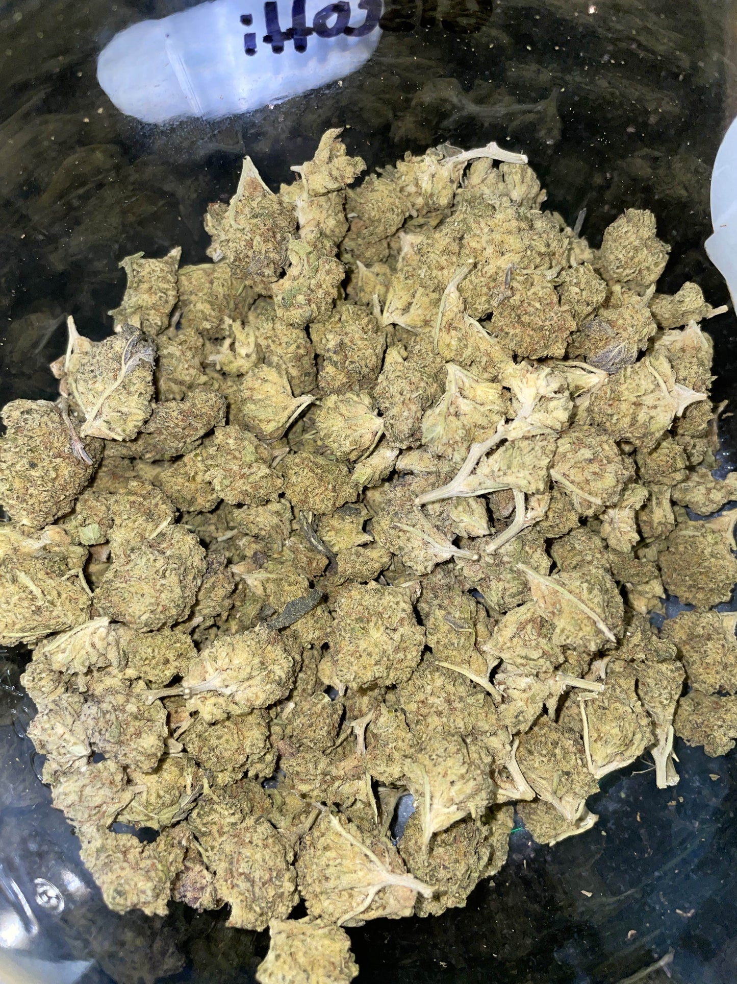 Biscotti Thca Weed flower sativa 