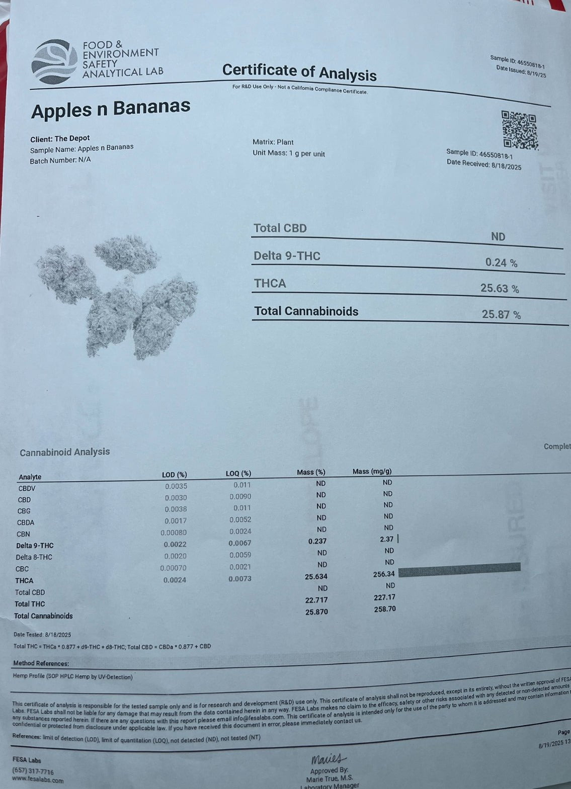 Apple & Bananas - Exotic - Kiefs Dispensary