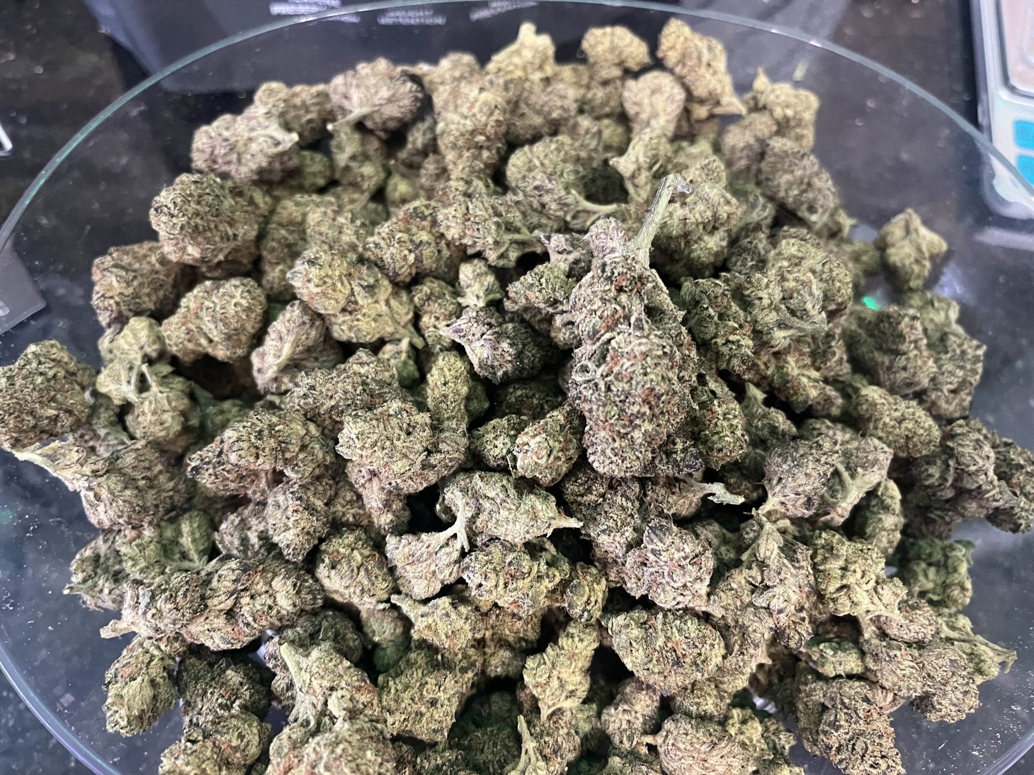 Apple Fritter - Kiefs Dispensary