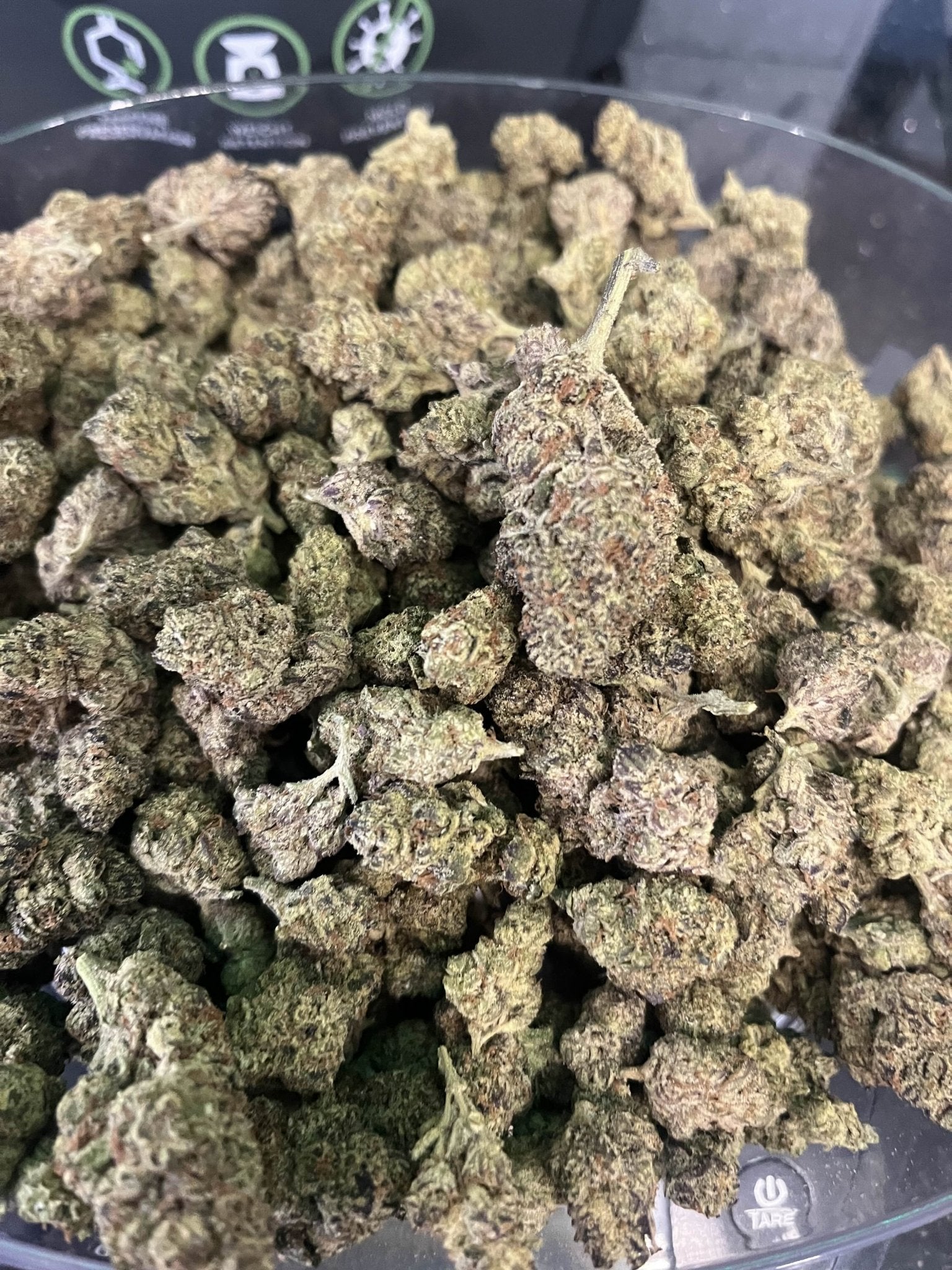 Apple Fritter - Kiefs Dispensary