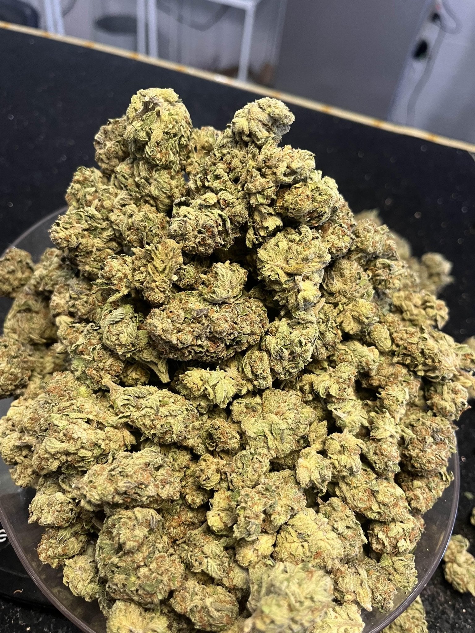 Candy Cane - Exotic - Kiefs Dispensary