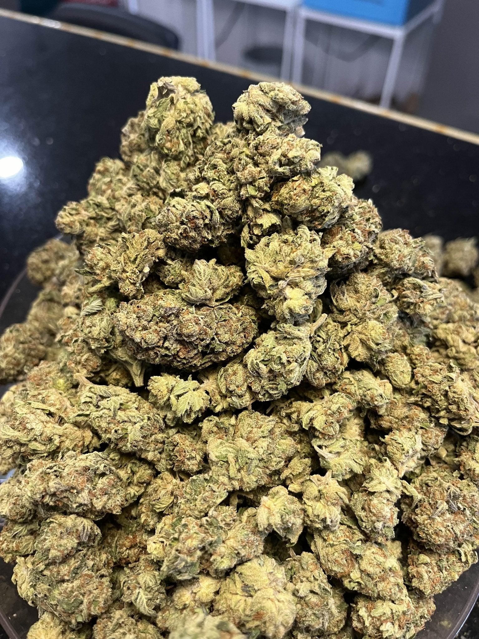 Candy Cane - Exotic - Kiefs Dispensary