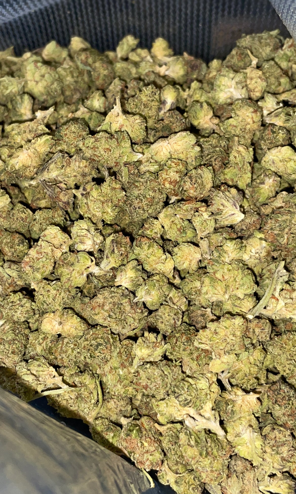 Cereal Milk - Smalls - Kiefs Dispensary