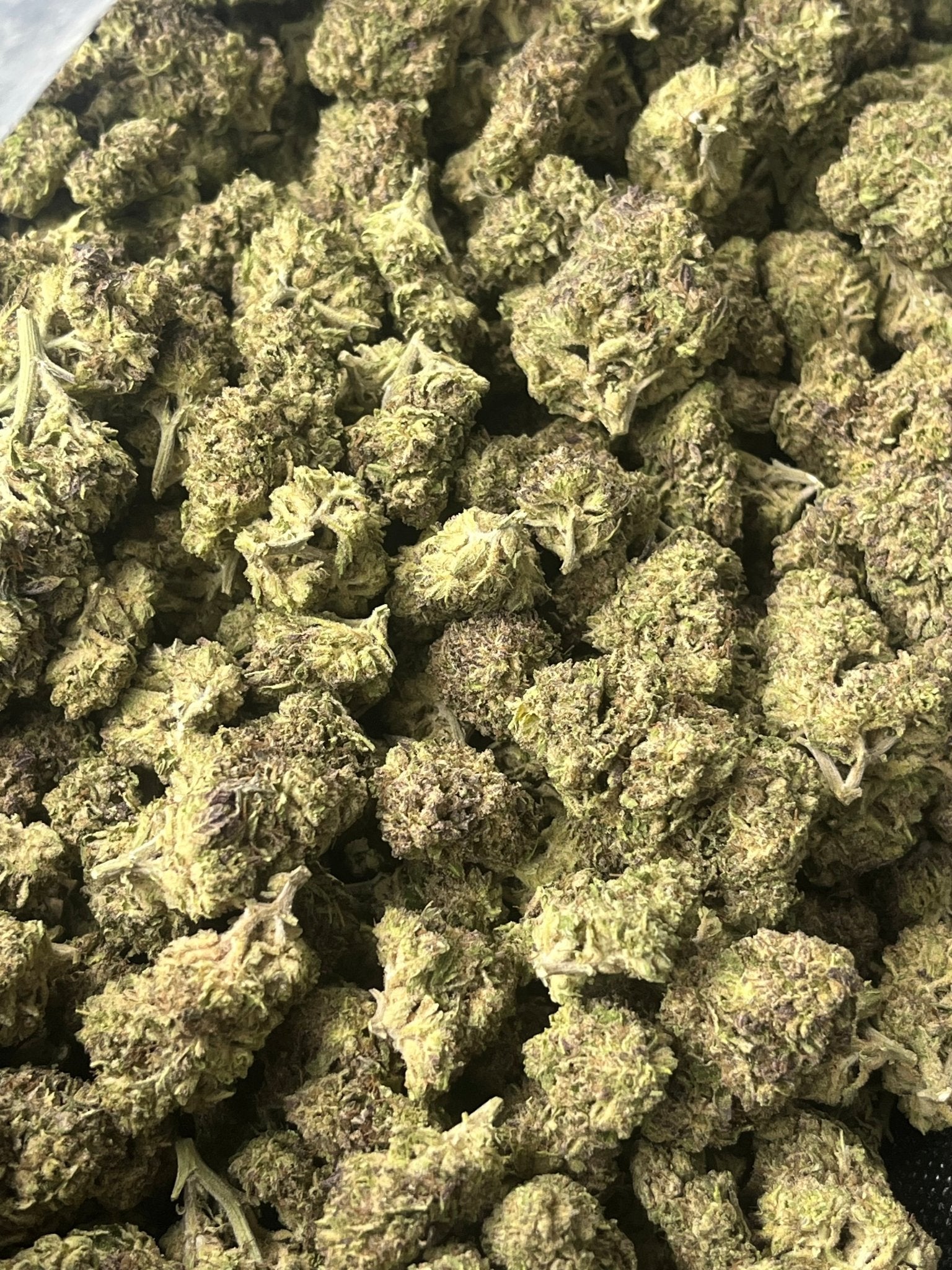 Crunch berries - Exotic - Kiefs Dispensary