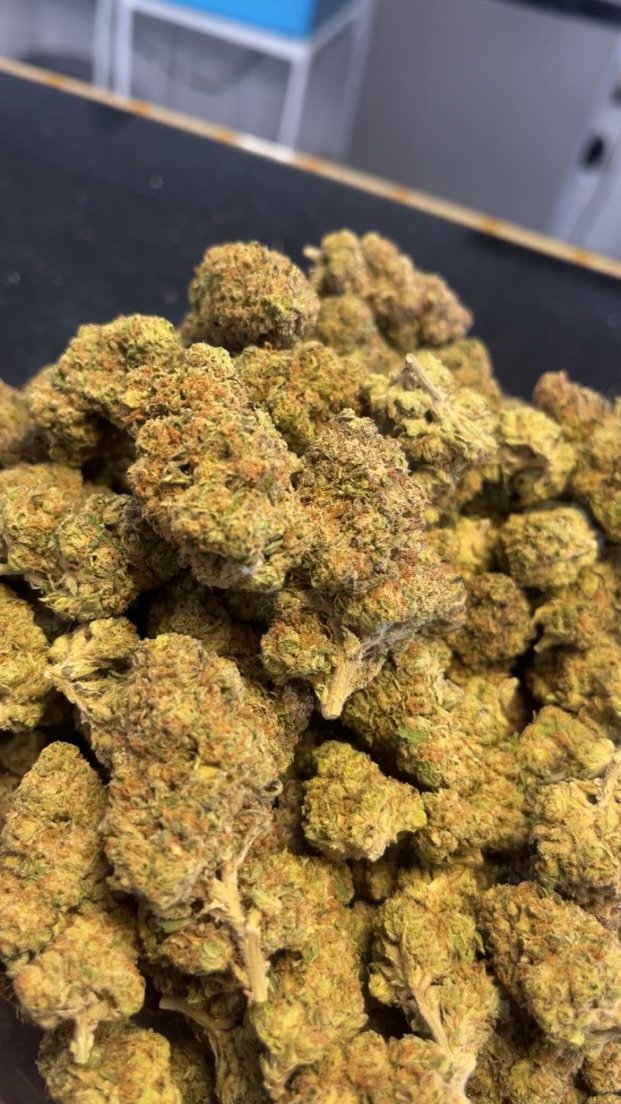 Detriot Runtz - Exotic - Kiefs Dispensary