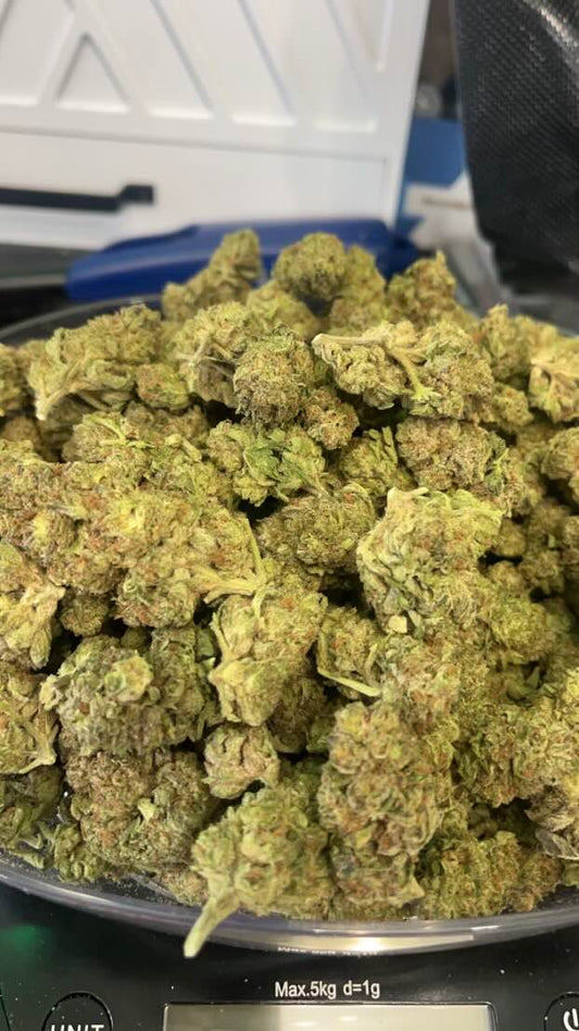 Gush mint - Kiefs Dispensary