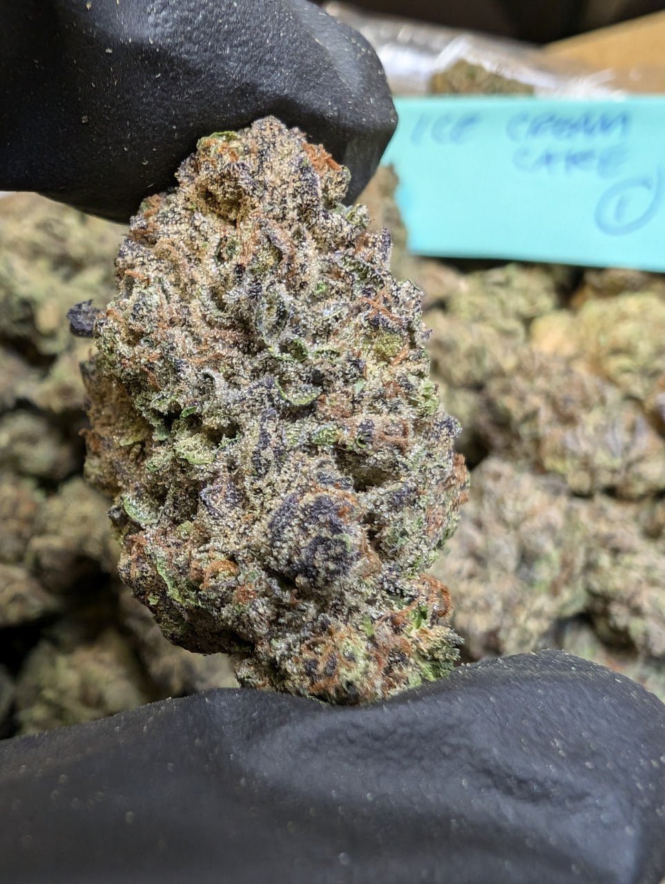 Icecream Cake - Kiefs Dispensary