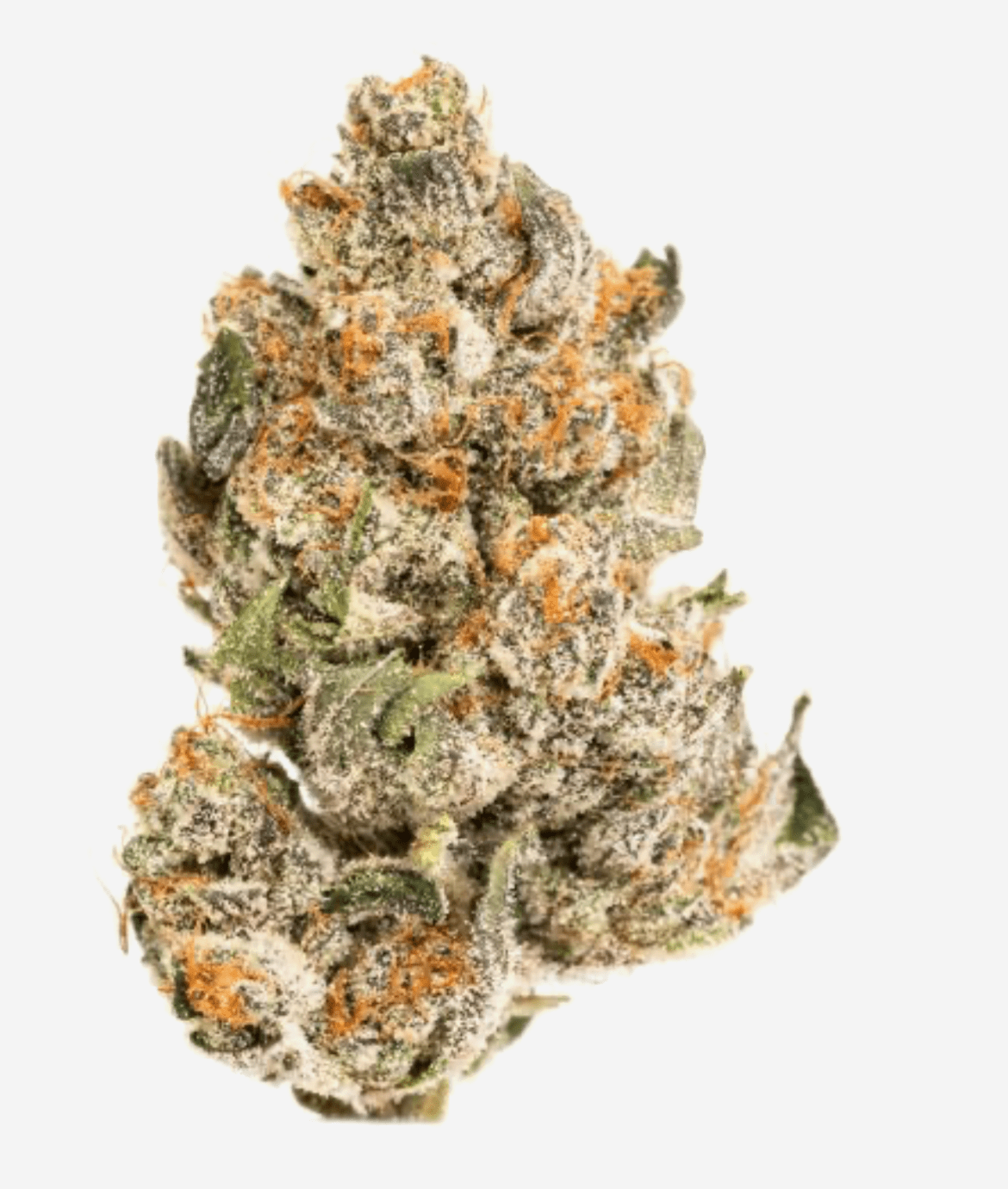 Jealousy - Kiefs Dispensary