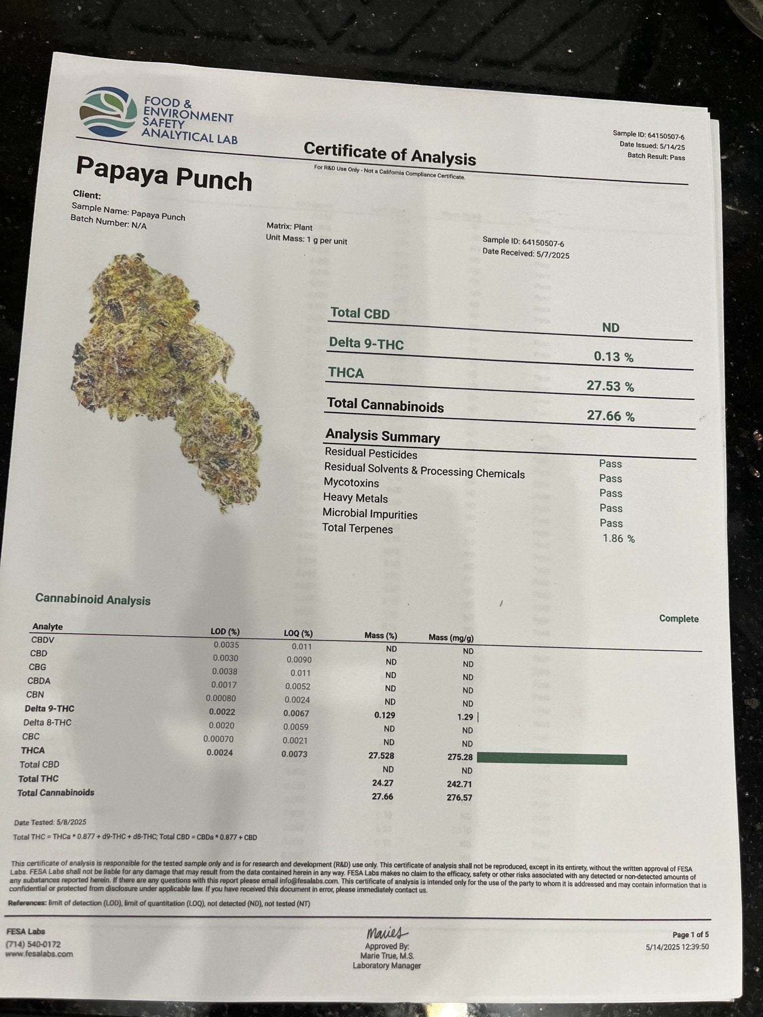Papaya Punch – Exotic - Kiefs Dispensary