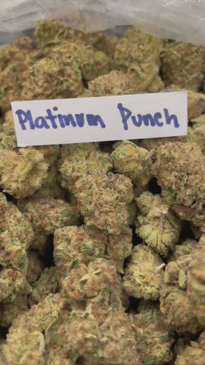 Platinum Punch