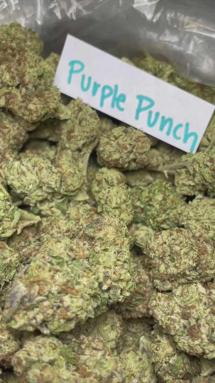 Purple Punch