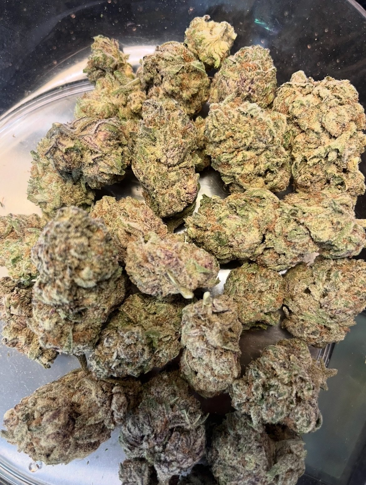 Purple Skittles - Exotic - Kiefs Dispensary