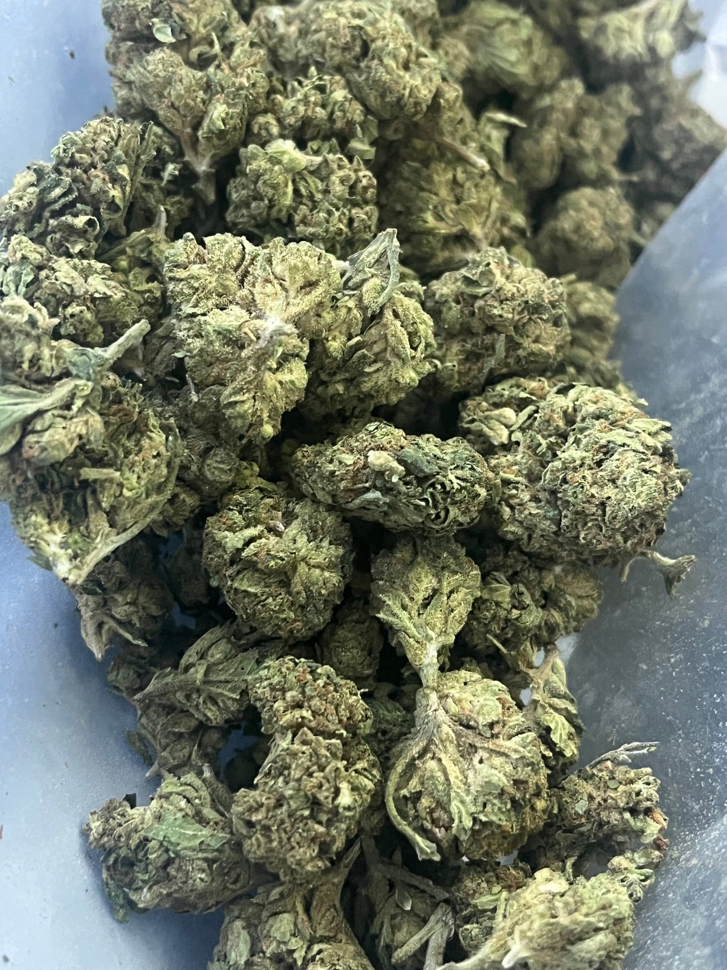 Tropical Cherry Cookies - Kiefs Dispensary