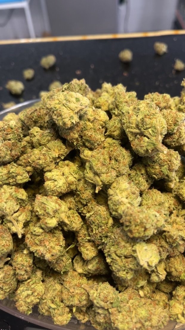 Tropical Cookies - Kiefs Dispensary
